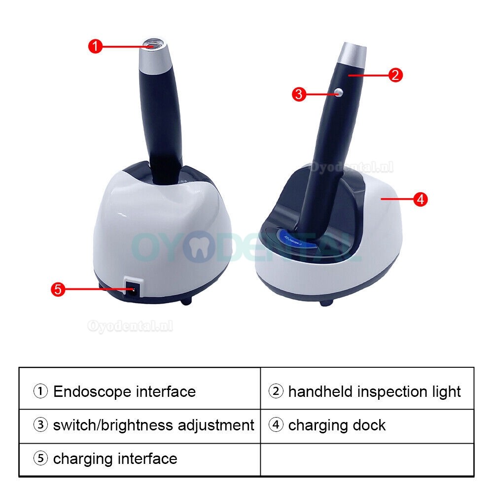 KWS KD-2005W-3 5W Draagbare tandheelkundige inspectielamp oplaadbare LED-onderzoekslamp